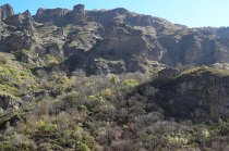 Iran_Luki-008