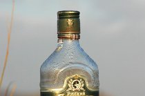 Iran-187